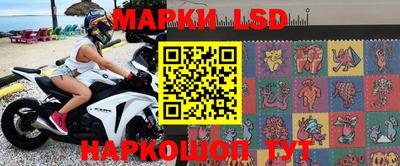 гидра Будённовск