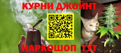 гидра Будённовск