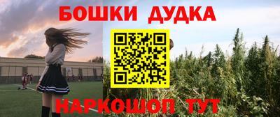 гидра Будённовск