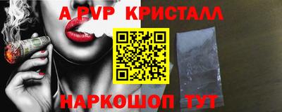 гидра Будённовск