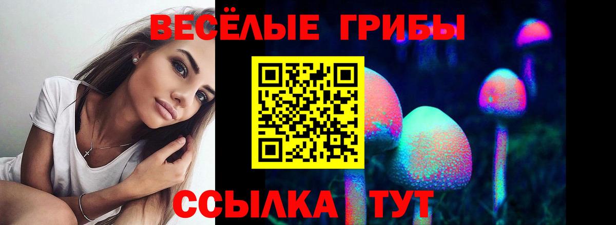 Псилоцибиновые грибы ЛСД  Вход с VPN  Магнитогорск  Псилоцибиновые грибы прущие грибы 